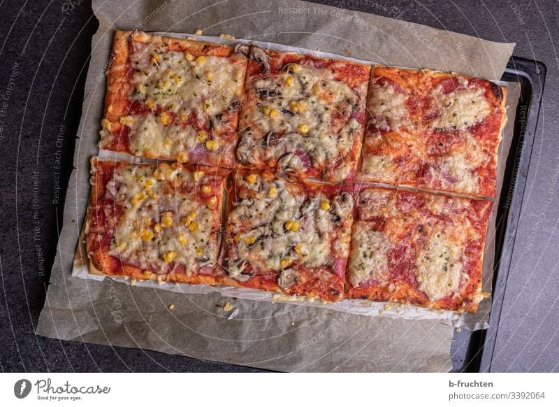 Selbstgemachte Pizza auf einem Backblech, in Stücke geschnitten pizza hausgemacht selbstgemacht gebacken frisch stücke schneiden backblech küche käse tomaten