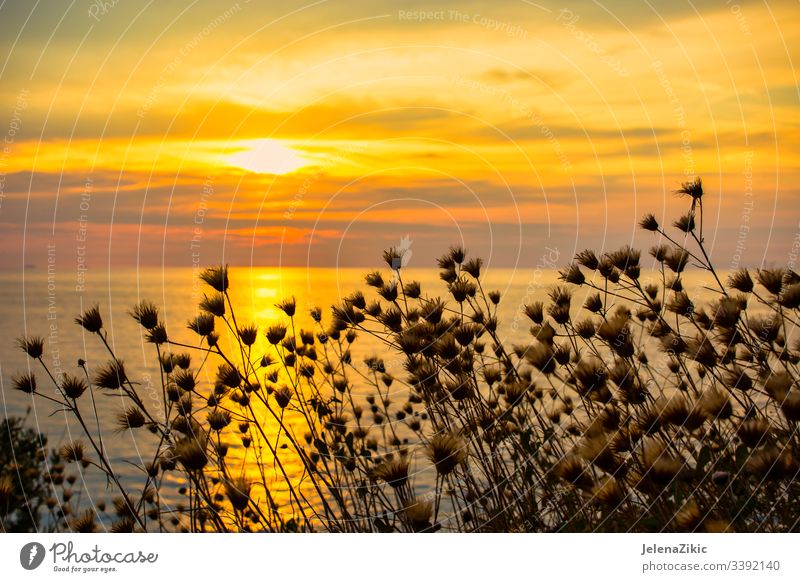 Wunderschöner Sonnenuntergang über dem Meer Himmel Sommer Abenddämmerung Reflexion & Spiegelung Natur Meereslandschaft MEER Ansicht Morgendämmerung