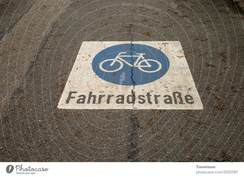Fahrradstraße Fahrradfahren Verkehr Stadt Markierung Piktogramm Asphalt Farbe Verkehrswege Buchstaben Beschriftung Straße