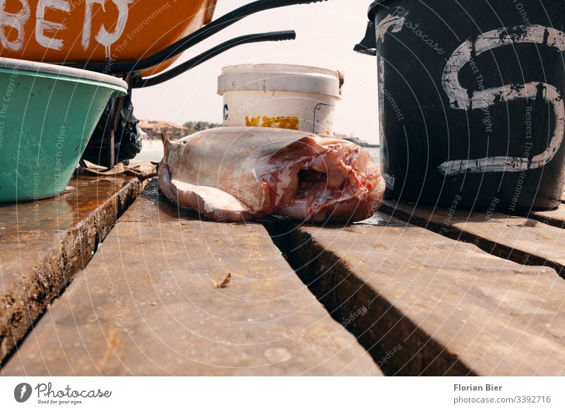 Frischer Fischfang direkt am Steg zum Kauf angeboten Fang Markt frisch Meer Fischer Beruf Leben Lebensmittel Ernährung Fischereiwirtschaft Gesunde Ernährung