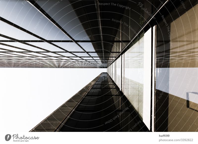 abstrakte Fassade Hochhaus Bankgebäude Fenster Gebäude ästhetisch Symmetrie Surrealismus Licht stagnierend rein Kapitalwirtschaft Ordnung hoch modern