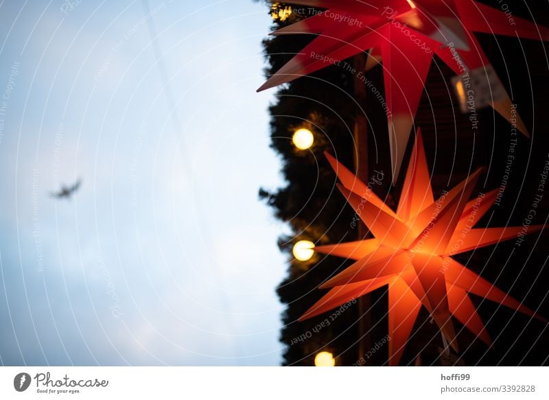 Leuchtender Weihnachtsstern von untern Weihnachtsmarkt besinnlich Tradition Lampe Feste & Feiern orange Farbe Dekoration & Verzierung Weihnachten & Advent gelb