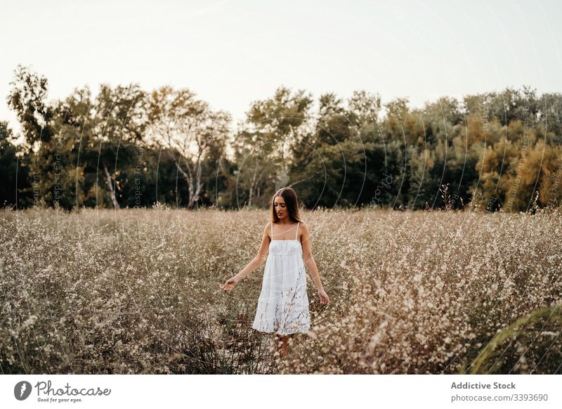 Zarte Dame im blühenden Feld stehend Frau Natur Blüte weißes Kleid Harmonie sanft Blütezeit Sommer Angebot jung Blume Freiheit sorgenfrei Gelassenheit