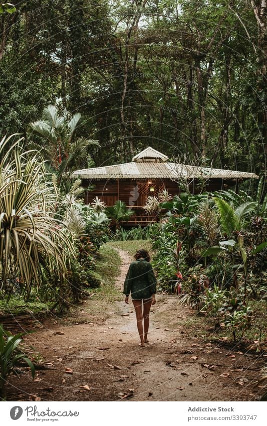 Anonyme Touristin im grünen Regenwald Frau tropisch Urlaub reisen Bungalow Dschungel exotisch Pflanze Tourismus Natur Baum Handfläche Weg Landschaft ruhen