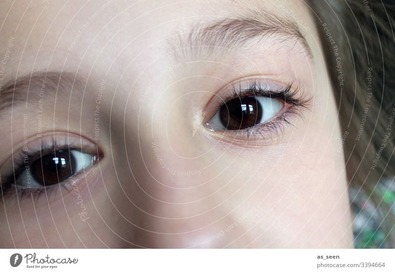 Blick eine Mädchens aus braunen Augen braunes Auge Pupille Wimpern Augenbraue Gesicht Nahaufnahme Kind brünett Mensch Nase Haare & Frisuren Kopf Kommunikation