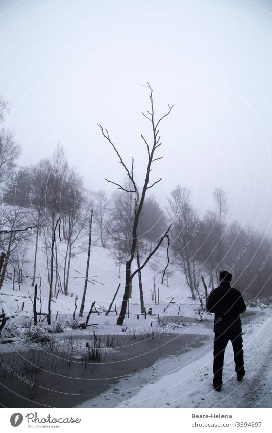 Der Winter ist eingekehrt! schwarz-weiss Kälte Spaziergang Bäime kahl Schnee Wasser Baumsterben kahle Bäume Umwelt