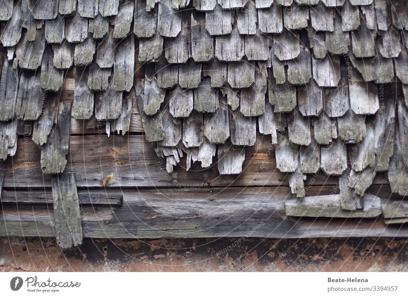 Zahn der Zeit: marodes Schindeldach Lebenszeit begrenzt Natur Baustoffe ökologisch Bauernhaus Schwarzwald Außenaufnahme Haus Dach Dachziegel Architektur Gebäude
