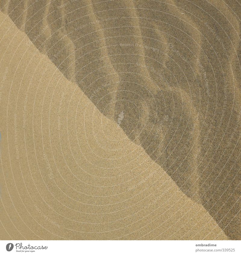 Natur-Belichtungskorrektur Umwelt Landschaft Sand Dürre Küste Strand Insel Gran Canaria eckig natürlich Grenze Schattenspiel Schattenseite Sonnenseite Farbfoto