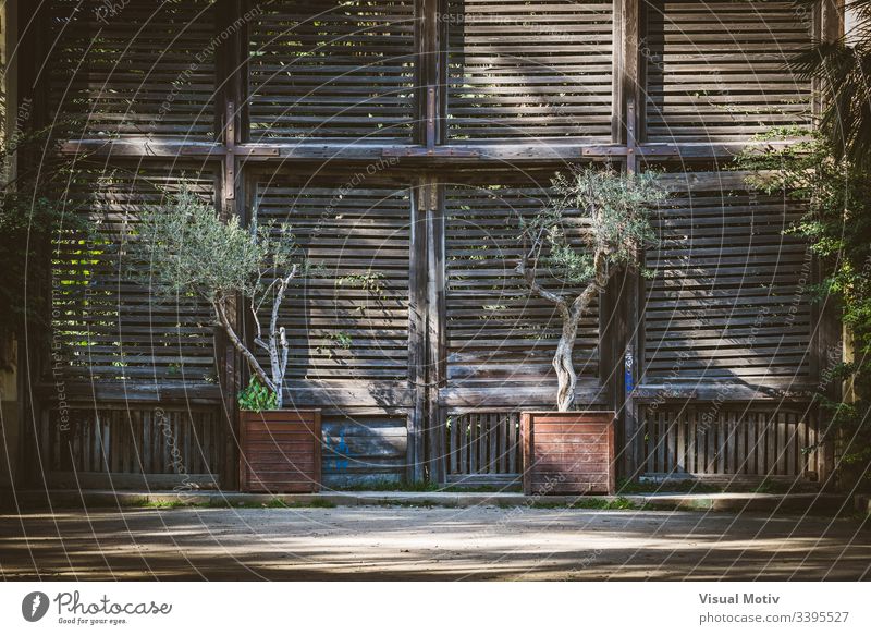 Alte Holzfensterläden eines Lattenhauses Farbe Architektur gebaute Struktur Pflanze keine Menschen niemand Außengebäude Gebäude Tag natürliches Licht Eingang