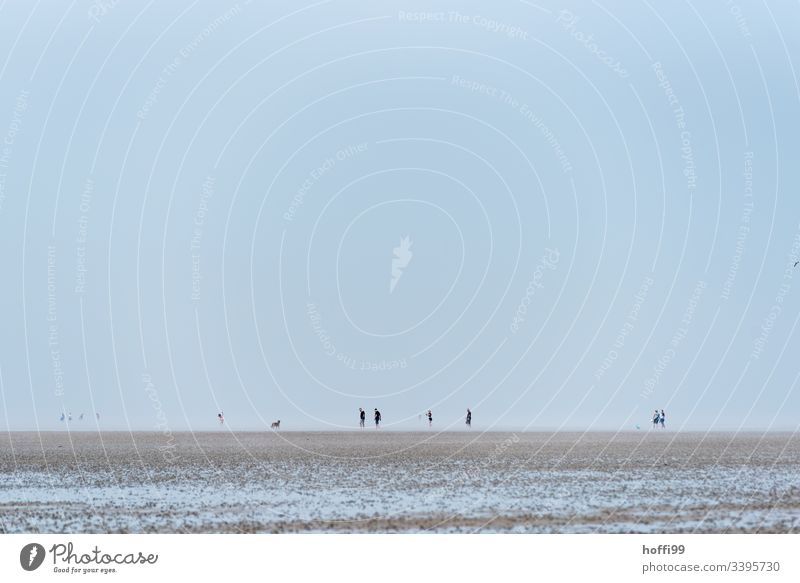 Menschen im Watt - Wattwanderung Wattwandern Wattenmeer Seeufer Nationalpark Wolkenloser Himmel Menschengruppe Morgendämmerung Nordsee Schönes Wetter Sommer