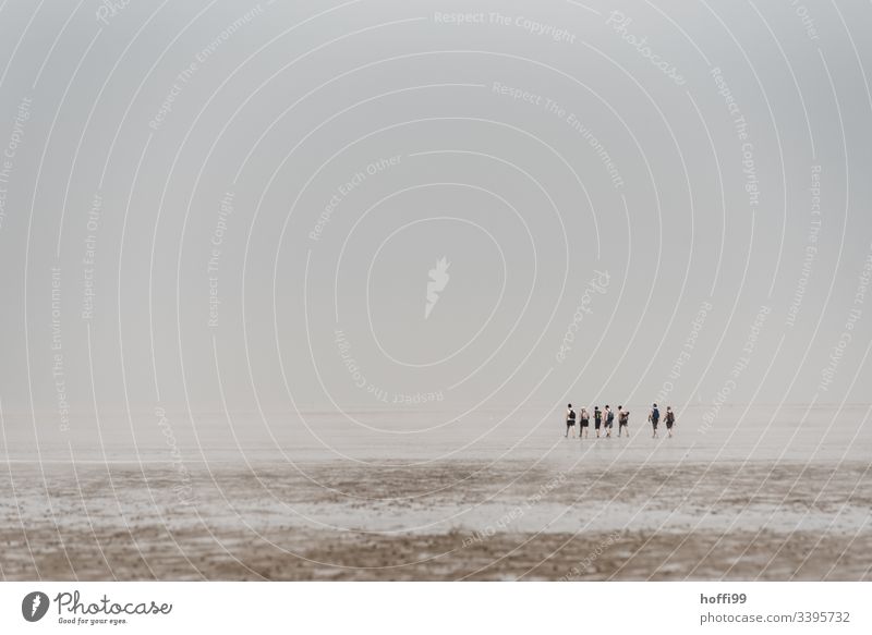 Menschen bei Nebel im Watt - Wattwanderung Wattwandern Wattenmeer Seeufer Nationalpark Wolkenloser Himmel Menschengruppe Morgendämmerung Nordsee Schönes Wetter
