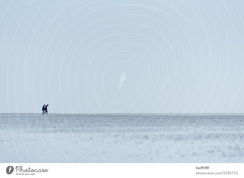 zwei Menschen im Wattenmeer - Wattwandern Seeufer Nationalpark Wolkenloser Himmel Menschengruppe Morgendämmerung Nordsee Schönes Wetter Sommer Strand Küste