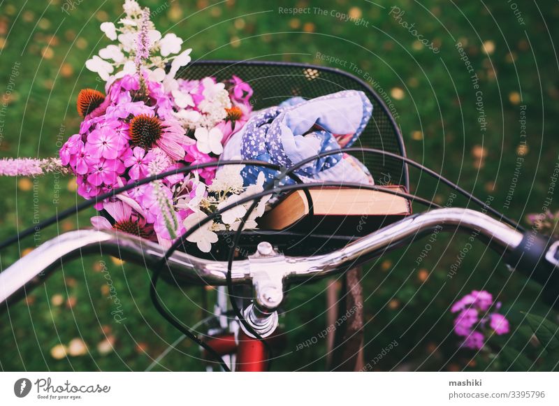 Retro-Fahrrad mit Blumenstrauß, Buch und Decke. Sommerliches Picknick am Wochenende, Ferien auf dem Lande verbringen lesen altehrwürdig Frühling Korb Garten