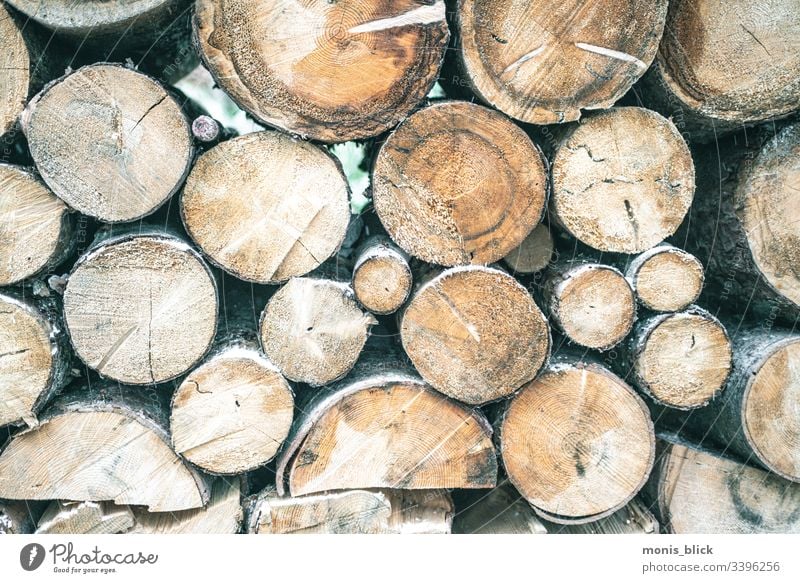 Holz gestapelte gefällte Baumstämme Baumstamm Baumrinde Ast Wald Natur Klimawandel Klimaschutz Menschenleer Umwelt Holzfäller baumstämme gestapelte Bäume