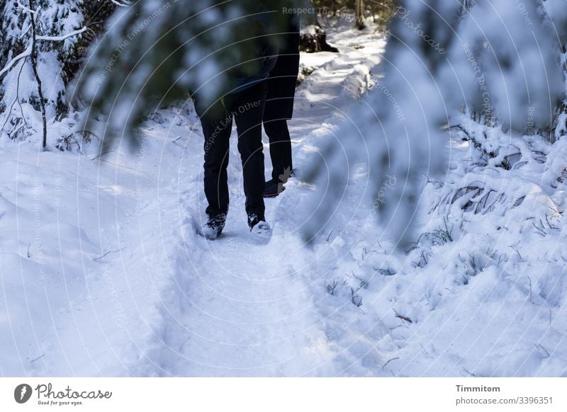 Verschneiter Wanderpfad mit Beinen Winter Schnee Pfad wandern Morgenlicht Wege & Pfade Natur kalt Bäume Zweige Schwarzwald Licht und Schatten Wanderer Erholung