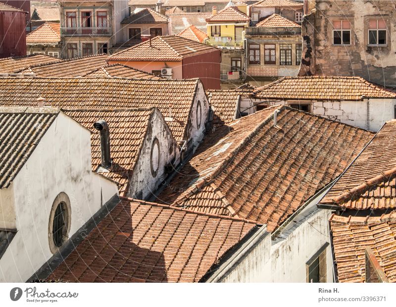 Dächer einer Altstadt Portugal Porto Giebel architektur altstadt Dachziegel historisch