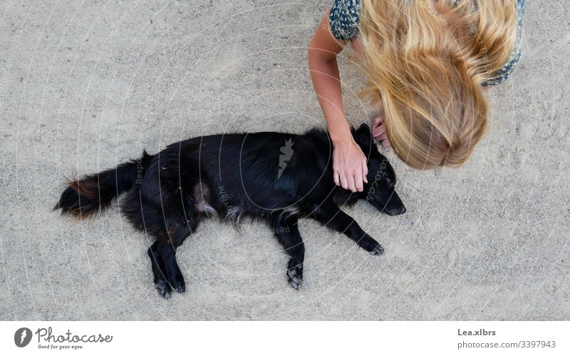 Eine Frau streichelt einen Straßenhund liebevoll blond Sommer Tiere Tierliebe Haustier heimatlos Asien Thailand Aus Person Kieselsteine Wege & Pfade von oben
