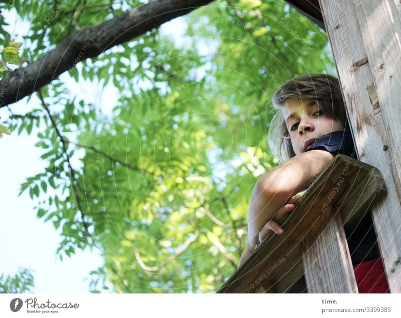 Junger Baumwächter kind junge portrait männlich baum spielgerüst blick anlehnen langhaarig aufgelehnt versteckt oberarm skeptisch prüfen sitzen