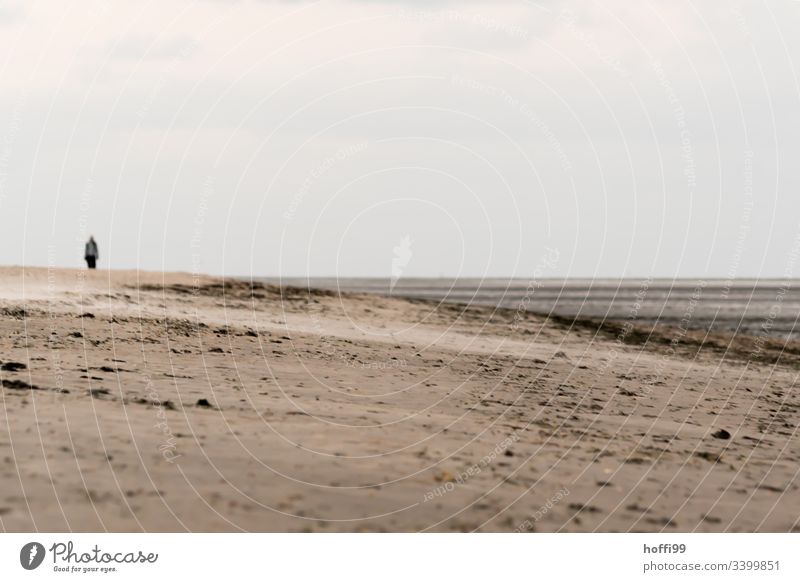 surreale Szene mit  Mensch am Strand Wattwandern Wattenmeer Seeufer Nationalpark Wolkenloser Himmel Menschengruppe Morgendämmerung Nordsee Schönes Wetter Küste