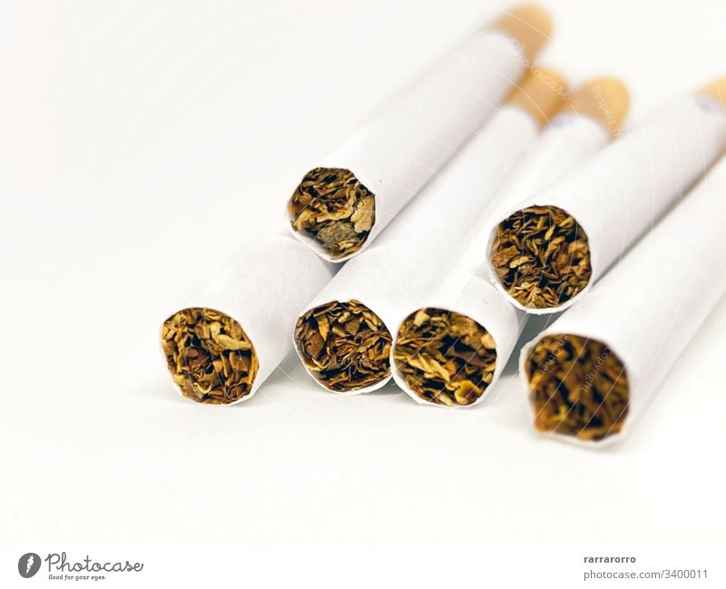 Nahaufnahme einer Zigarettengruppe Menschengruppe Konzept Krebs niemand giftig Hintergrund ungesund Habitus Rauch Tabak Sucht Aschenbecher Hintergründe