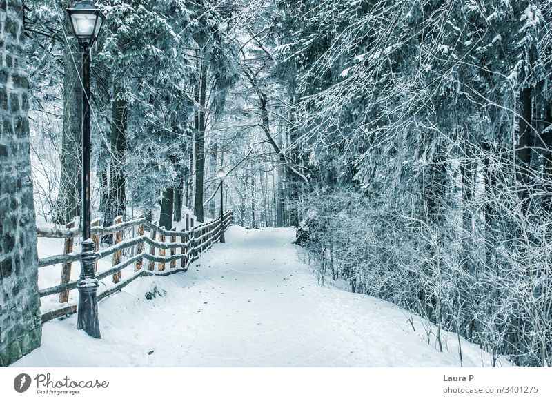 Pfad im Park im Winter, mit Schnee bedeckt Weg Bäume gefroren schön Ansicht Landschaft Peitschenlaterne Niemand allein Stille ruhig