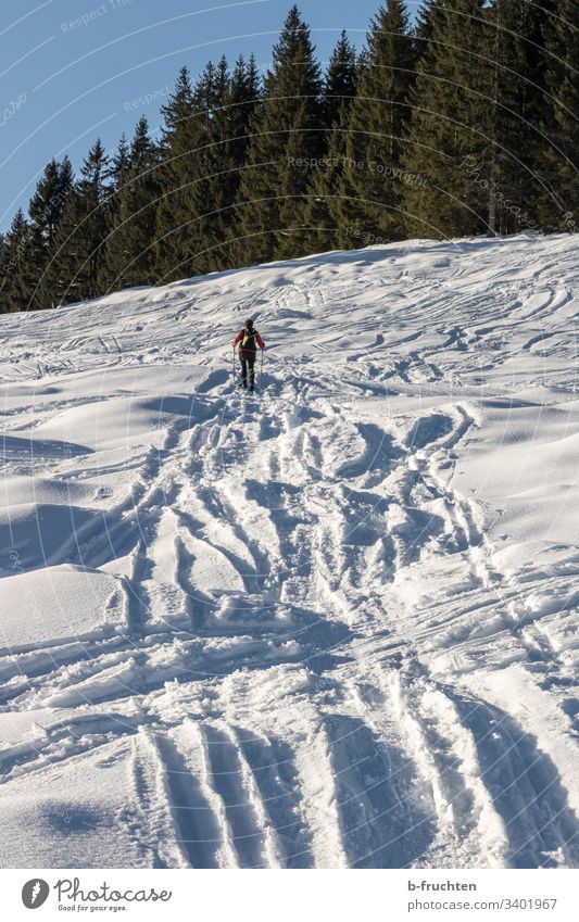 Schneeschuhwandern, viele Spuren im Schnee spuren Wandern Wanderung Schneeschuhe sport Fitness Berge u. Gebirge Außenaufnahme Natur Mensch Sport Winter Alpen