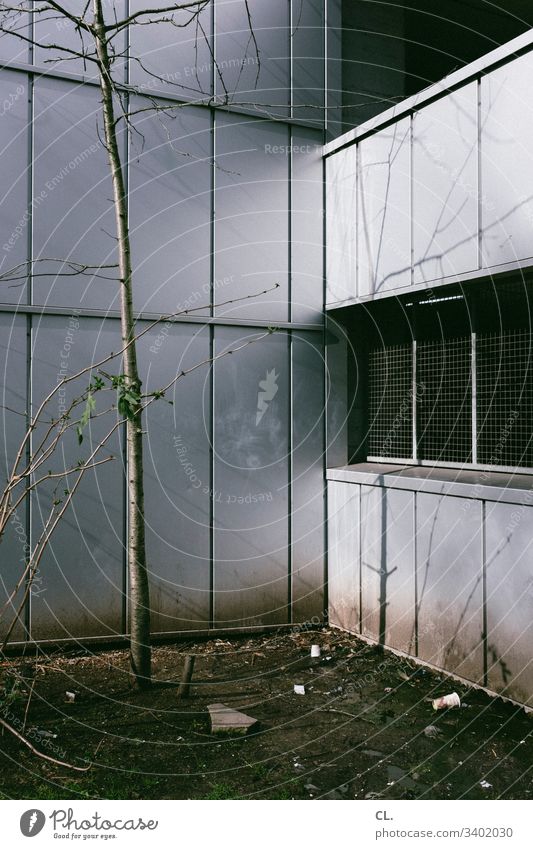 dreckige ecke Müll Gebäudeteil Fenster trist Baum Stadt Natur Kontrast Farbfoto Außenaufnahme Menschenleer Tag Wand Verfall grau Winter Herbst hässlich