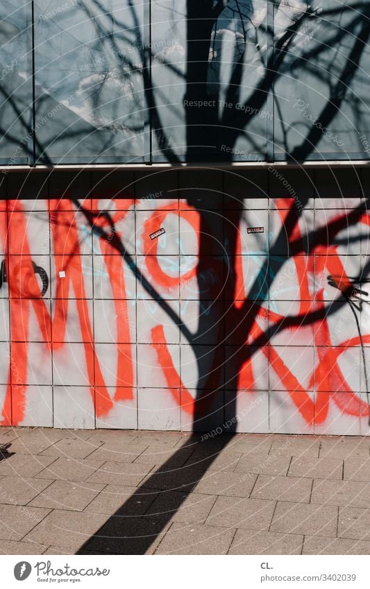 schatten eines baums Schatten Schattenspiel Baum Baumstamm Wand Graffiti Zweige u. Äste gehweg Schmiererei Menschenleer Farbfoto Außenaufnahme Tag Herbst Ast