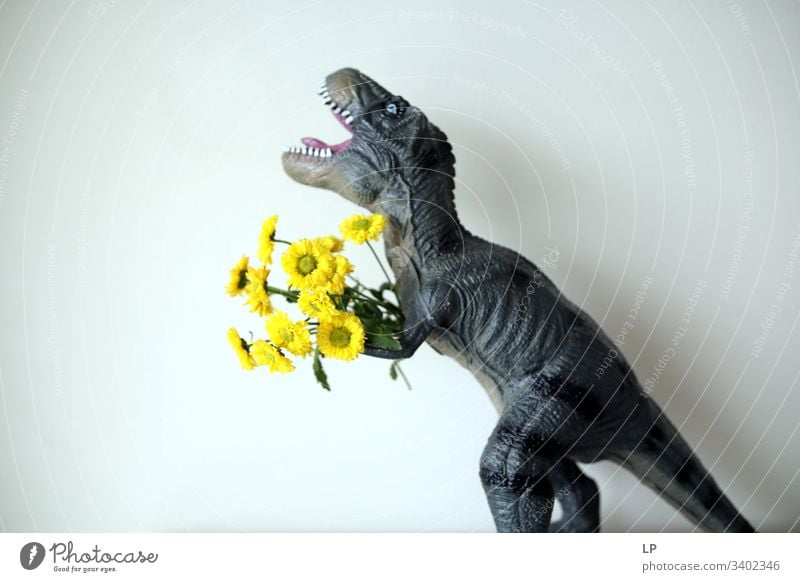 T rex mit gelben Blüten Dinosaurier Blumen Frühling Tier Geburtstag Humor beängstigend kämpfen Paar Mann Zähne tosend Reptil Drache Urzeit Tierporträt