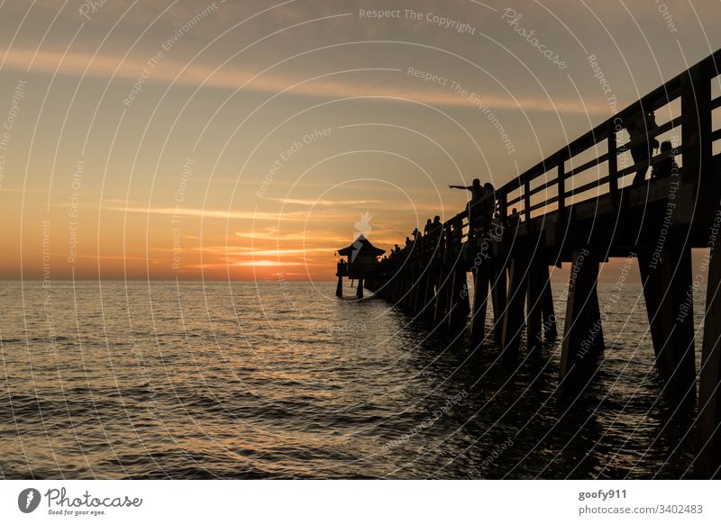 Naples Pier Sundowner Meer Küste Landschaft Strand Natur Sonnenuntergang Himmel Horizont Farbfoto Außenaufnahme Dämmerung Florida Ferien & Urlaub & Reisen