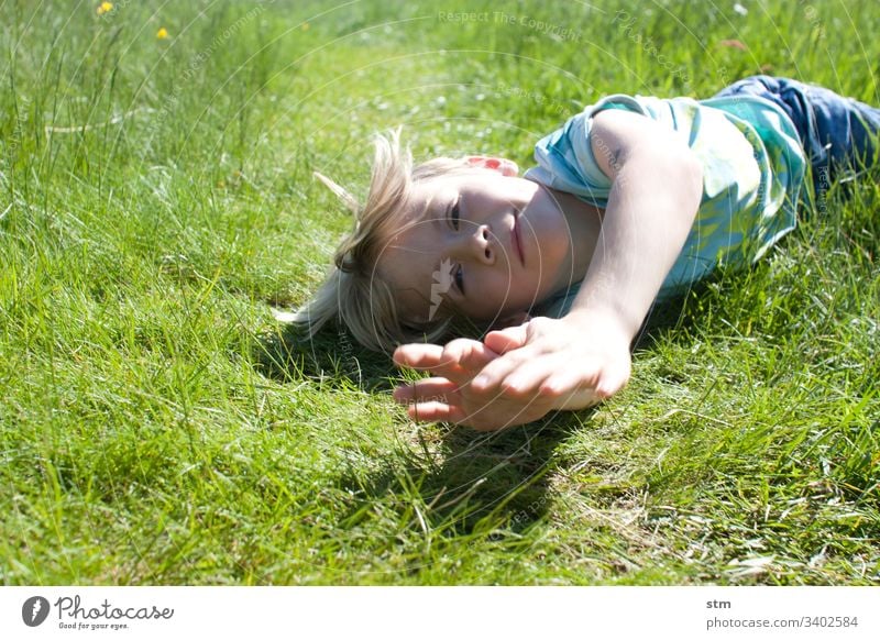 Grasrollen! Junge Rollen Natur Sommer Kindheit Spiel Hang Wiese Feld Landschaft grün Farbfoto Spaß Freude im Freien Lifestyle Fröhlichkeit Glück Lächeln heiter
