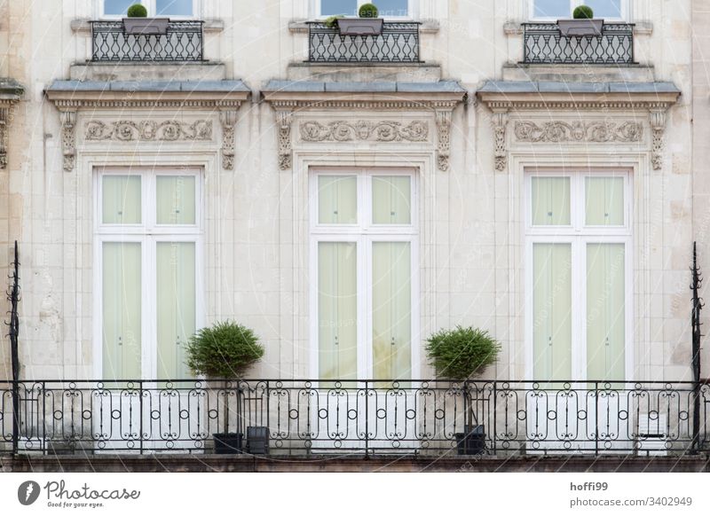 eleganter Altbau Balkon mit zwei Buchsbäumen Fenster Fensterladen Reihe Natursteinfassade Mauer Wand Bogenfenster Zentralperspektive Pflanzen Topfpflanze