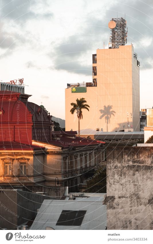 San Jose Zentrum Oper Palme Stadtzentrum Dächer Schatten Hochhaus braun weinrot grau grün weiss eng Costa Rica