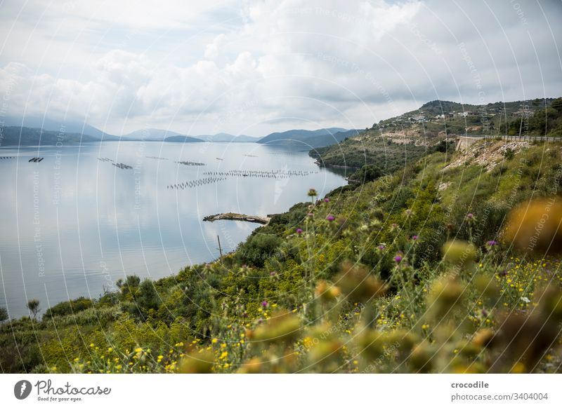Küstenstrasse Albanien Meer albanien Reisefotografie ionisches meer Meereslandschaft Meeresfrüchte Muschel aquakultur Berge