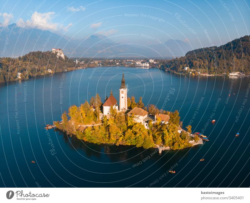 Luftaufnahme der Insel Bled auf dem Bleder See und der Bleder Burg und der Berge im Hintergrund, Slowenien. geblutet Berge u. Gebirge malerisch Wahrzeichen