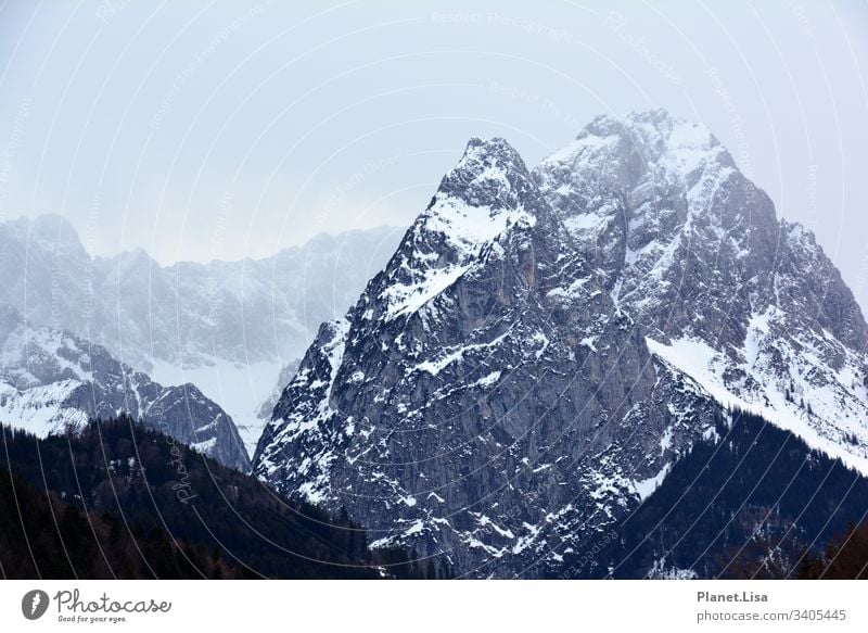 Bergmassiv Alpen Berge u. Gebirge Bergkette gebirgskette Gipfel Landschaft Natur Felsen Außenaufnahme Farbfoto Schneebedeckte Gipfel Menschenleer Umwelt Winter