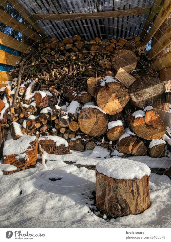 Ein verschneiter Stapel von Baumstämmen. Holz Winter Schnee Schornstein umgebungsbedingt Waldarbeiter Brennholz kalt Feuerstelle Herd Saison Kraft Ofenholz