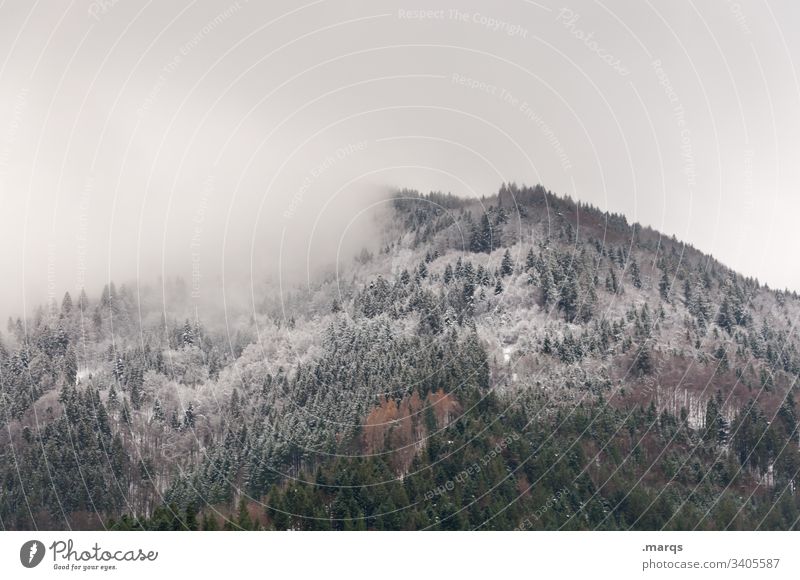 Schneebedecktes Mittelgebirge Wald Nadelwald Berge Himmel schlechtes Wetter grau Winter Schneefallgrenze