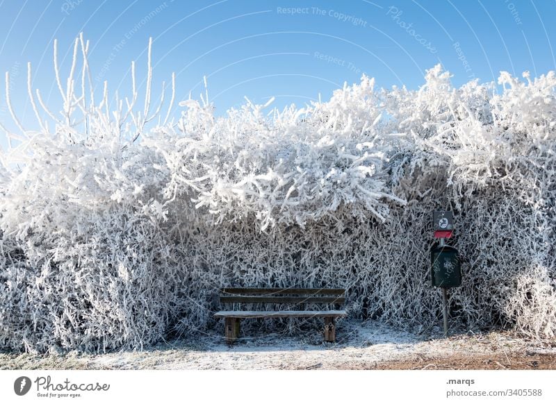 Frierende Bank Schnee Winter ruhig friedlich Erholung Natur Landschaft Eis Frost kalt Klima Umwelt frieren Busch Hecke Blauer Himmel Schönes Wetter