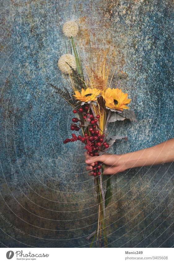 Menschliche Hand mit einem dekorativen Blumenstrauss menschlich Blumenstrauß Frühling Angebot Geben Geschenk Liebe geblümt Freund romantisch Tag wild Versand