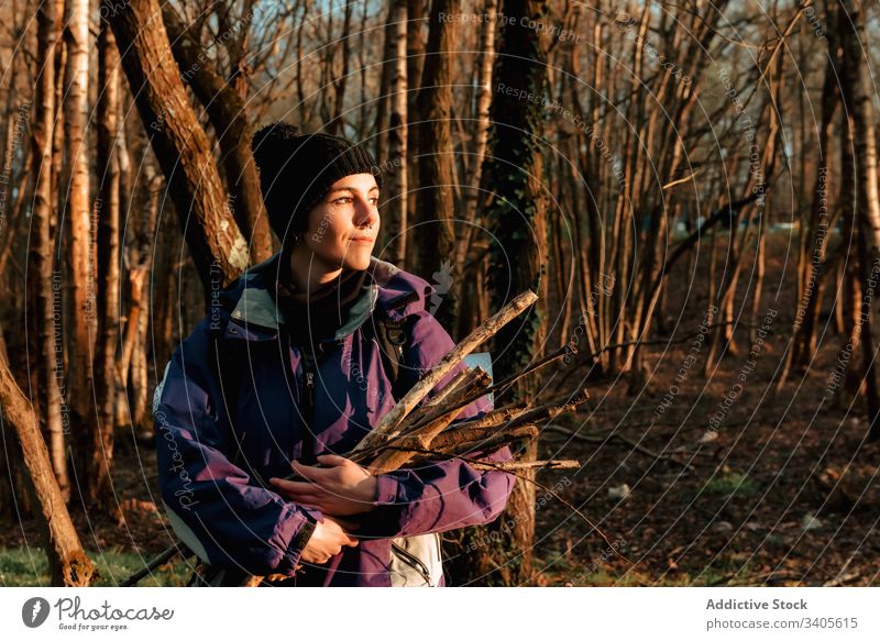 Fröhliche junge Reisende mit Brennholz im Wald Reisender Frau Wanderer abholen Camping Herbst Natur Holz idyllisch Umwelt Ausflugsziel sich[Akk] sammeln