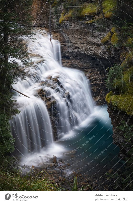 Wunderschöner Wasserfall in felsiger Schlucht Felsen Stein Natur strömen wild malerisch Berge u. Gebirge Landschaft reisen platschen Wald grün Umwelt fließen