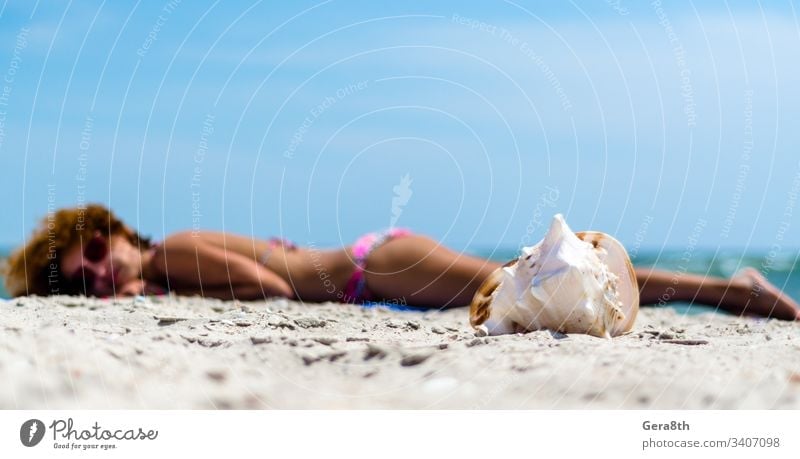 große Meeresmuschel auf dem Sand vor dem Hintergrund eines bräunenden Mädchens im bunten Badeanzug am Strand große Muschel blau Unschärfe übersichtlich Küste