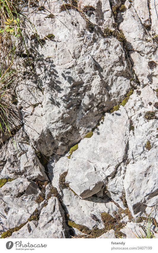 Felsen im harten seitlichen Sonnenlicht vertikal Struktur dreckig Risse Struktur-Hintergrund Felshintergrund raue Textur Tapete Wand grau Rock Stein Oberfläche