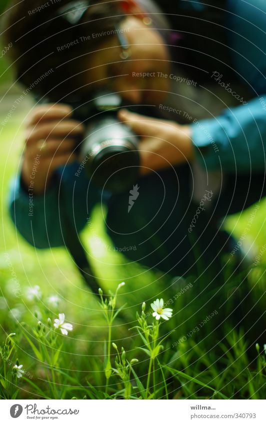 Hobbyfotografin hockt im Gras und fotografiert zarte Wiesenblumen Freizeit & Hobby Fotokamera Mensch Frau Erwachsene 1 Natur Pflanze Baum hocken grün türkis