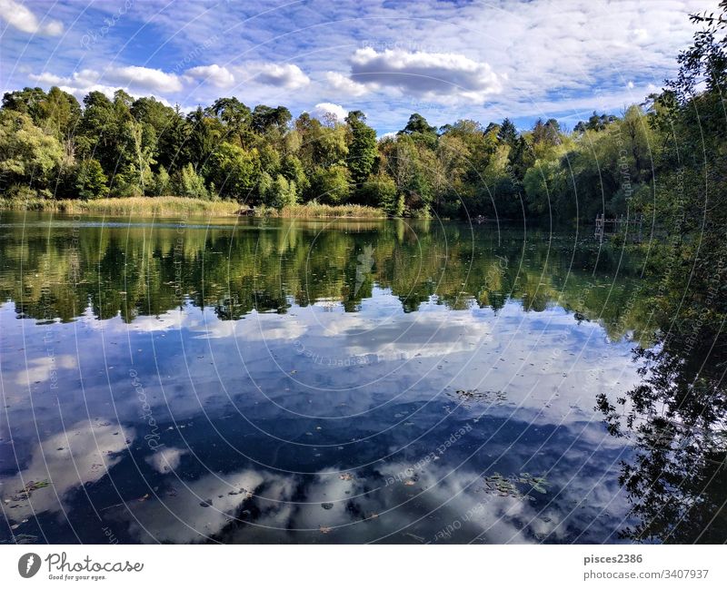Schöner und ruhiger Waldsee in Walldorf Himmel Landschaft blau Reflexion & Spiegelung Wasser See Laubwerk grün Park Natur schön Windstille im Freien Umwelt