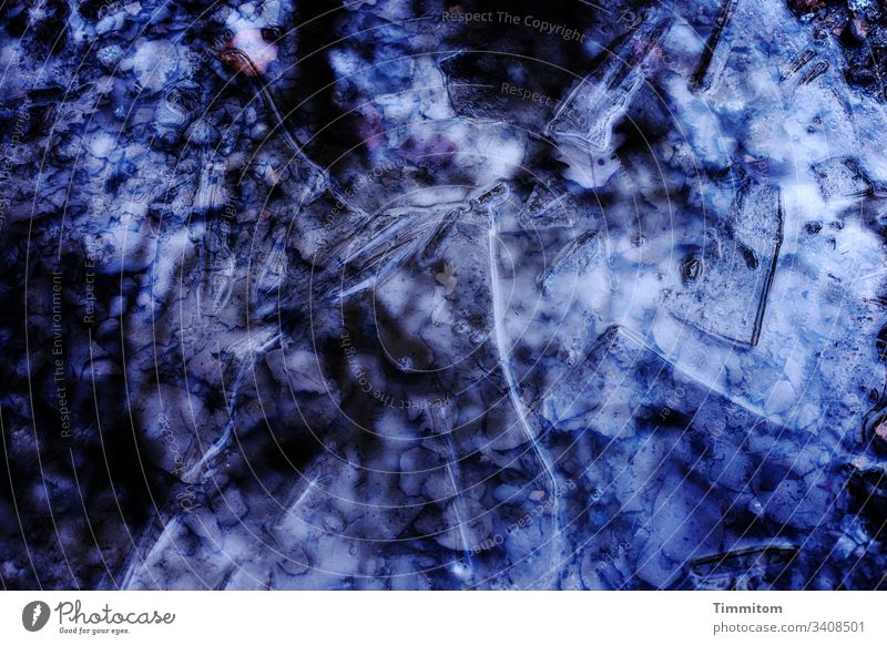 Eisfläche neben einem Waldweg Frost kalt Winter gefroren blau Linien Laubblatt Strukturen & Formen Menschenleer Farbfoto