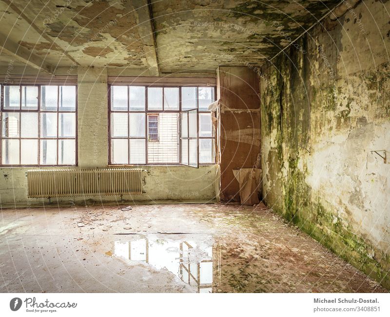 Green Room - Tapetenfabrik Norta Langenhagen Lost place urbex abandoned verlassen ruine lost marodes