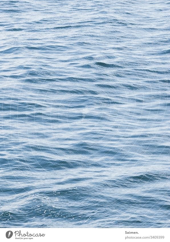 Wasser Meer wellen blau nass maritim Pazifik Urlaub freiheit Erholung Sanft weich Urelement