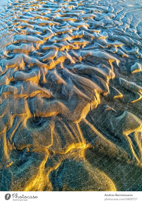 Kuriositätenbildung durch Wasser im Sand Detailaufnahme Formular abstrakt reisen Wellen MEER sandig Düne natürlich trocknen Küste Boden Licht Textur Dürre